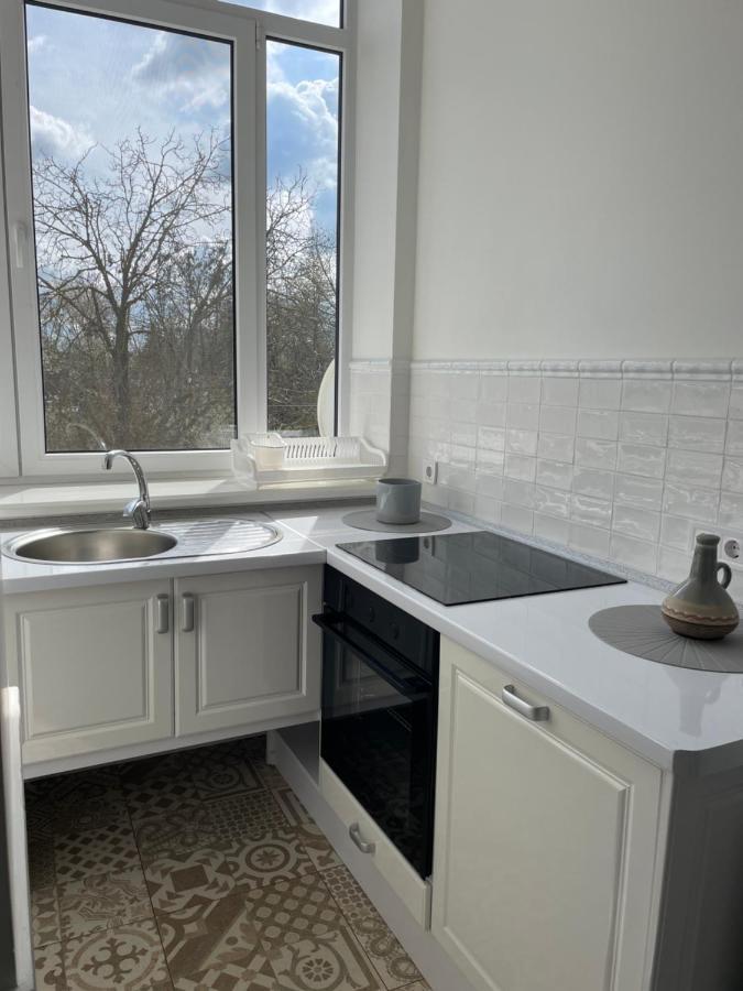 Lux Apartment Studio Берегове Екстер'єр фото