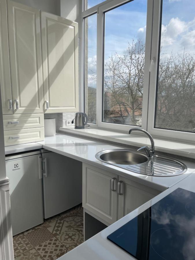 Lux Apartment Studio Берегове Екстер'єр фото