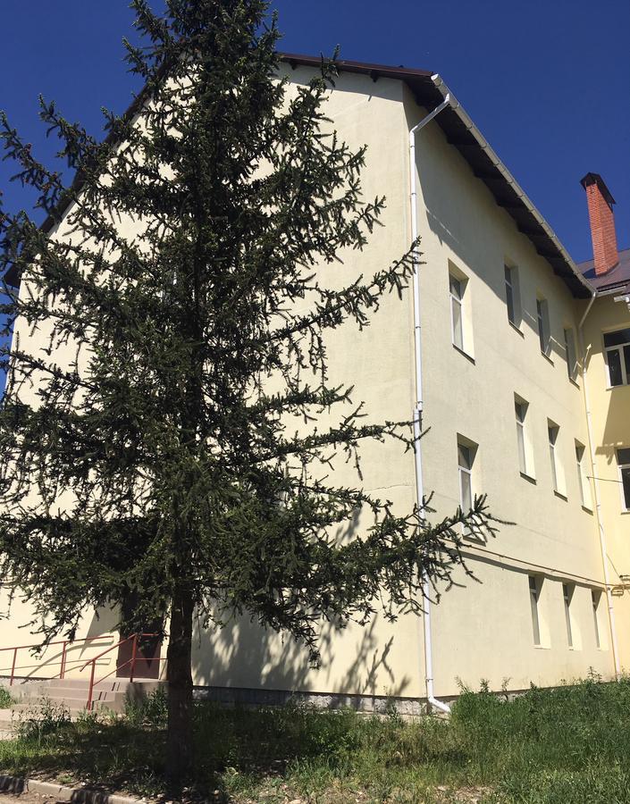 Lux Apartment Studio Берегове Екстер'єр фото